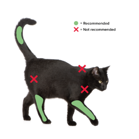 미국동물병원협회(AAHA)가 추천하는 고양이 주사 접종 부위. [그래픽=남예림 수의사 제공]