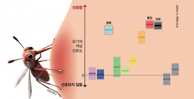 모기의 색상 선호도. 미드저니, Jeffrey A. Riffell et.al 제공