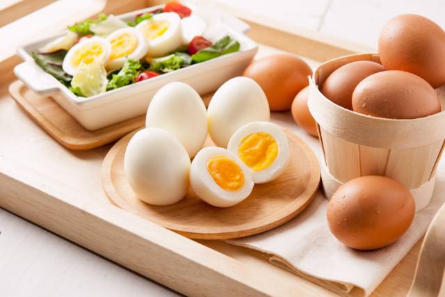 사진 제공=이미지 투데이