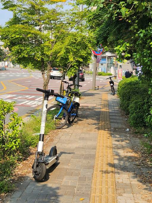 남양주시가 설치한 공유형 전동킥보드 전용 거치구역이 무용지물이 되면서 시민 인식 개선이 필요하다는 지적이다. 사진은 인도 위에 무분별하게 주차된 개인형 이동장치. 독자 제공