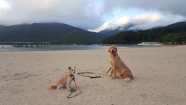 거제도 명사해수욕장 / 온라인 커뮤니티