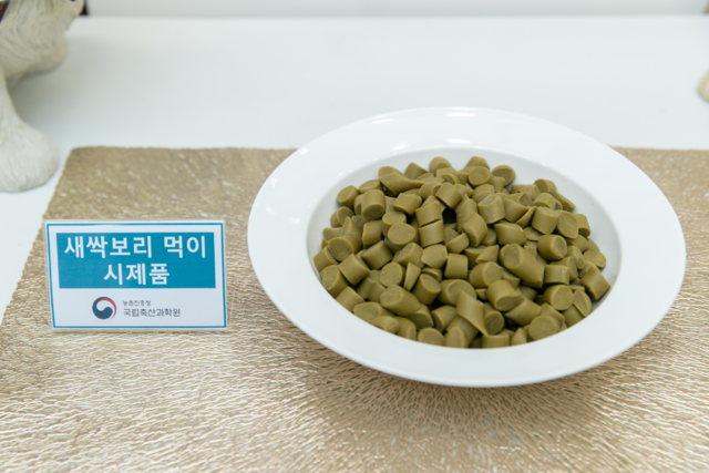 새싹 보리 사료. 농촌진흥청