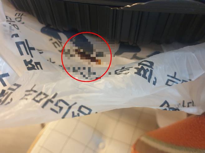 찜닭이 포장된 비닐봉지 안에서 살아있는 바퀴벌레가 나왔다는 한 소비자의 후기가 공개됐다. /사진=네이트판