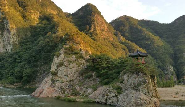 온라인 커뮤니티