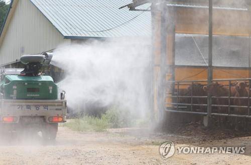 소독하는 축산농가 [연합뉴스 자료사진]