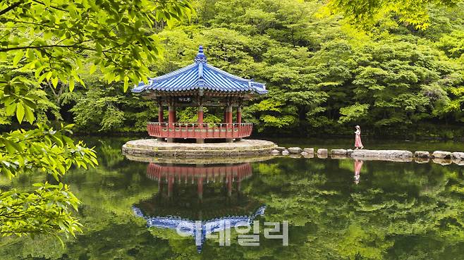 내장산 우화정 (사진=김명상 기자)