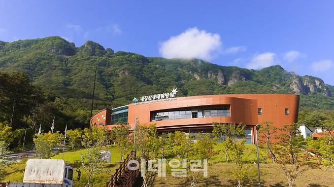내장산생태탐방원 (사진=김명상 기자)