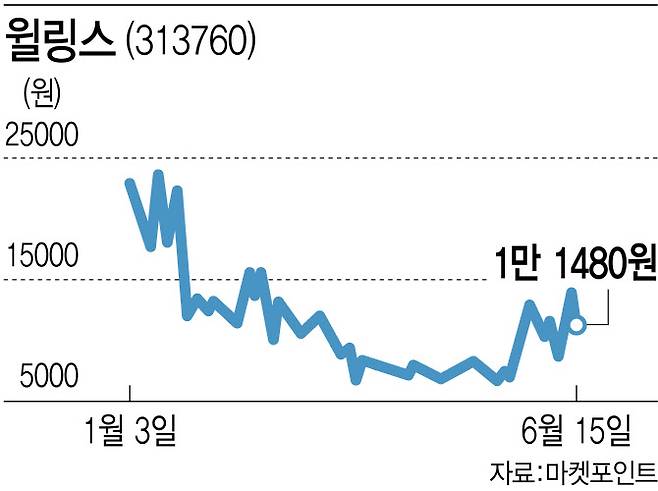 (그래픽=이데일리 김다은)