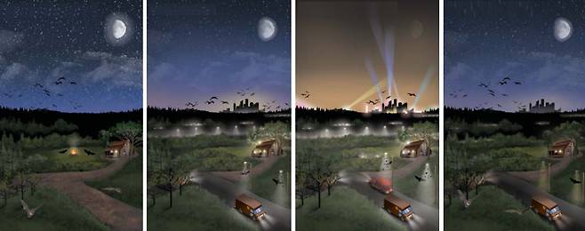 전문가들은 동식물과 인류의 건강과 생태, 사회 환경을 개선하기 위해 광공해를 줄일 방안을 마련해야 한다고 강조했다. 그림은 가장 왼쪽부터 '인공 조명이 없었던 산업혁명 이전의 도시', '인공 조명을 사용하는 현재의 도시', '무분별한 조명 사용으로 광공해가 심각한 미래 도시', '기술과 정책으로 조명 사용을 제한해 광공해가 거의 없는 미래 도시'. /Science, University of Gävle, Netherlands Institute of Ecology