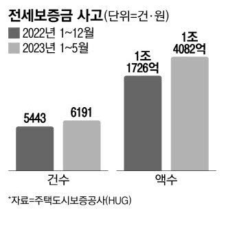 피같은 전세금 올 1조 떼였다