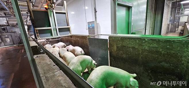 동물복지(도드람FMC)