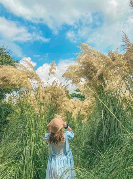 온라인 커뮤니티