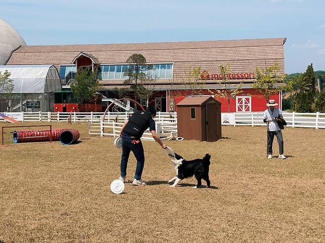 온 가족이 가장 먼저 모여드는 목장 / 사진= 권효정 여행+ 기자