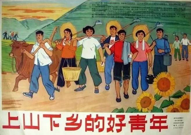 청년들을 산촌과 농촌으로 보내자는 1968년 상산하향 캠페인의 포스터 / 출처 : 바이두 캡처