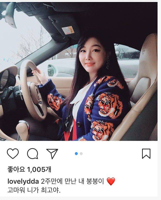 이다지씨가 직접 올린 자동차 소개 사진. /인스타그램