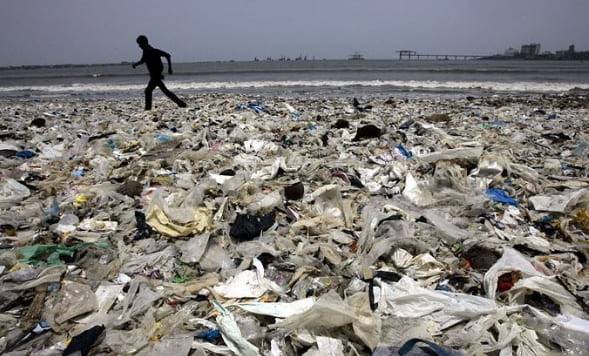 온라인 커뮤니티