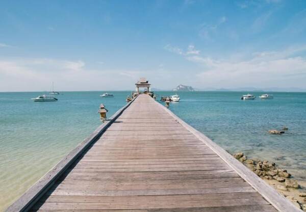 온라인 커뮤니티