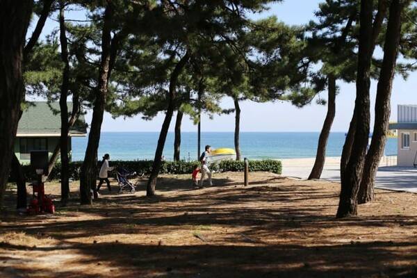 연곡솔향기 캠핑장 / 온라인 커뮤니티