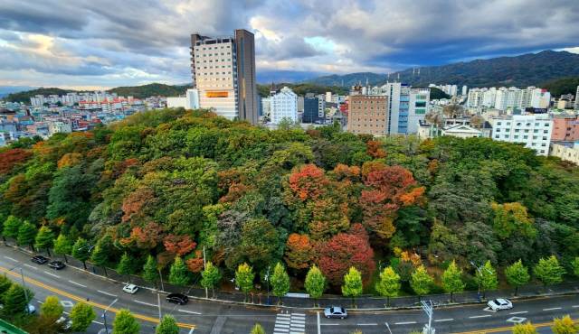 ▲ 동해시 동굴로 141 천곡동 냉천공원 전경.