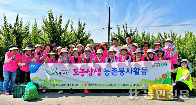 광주농협본부와 고향주부모임 광주시지회, 전남 곡성 석곡농협이 함께 광주광역시 북구 지야동 매실 농가에서 일손돕기를 펼쳤다. 뒷줄 왼쪽 다섯번째부터 구상봉 북광주농협 조합장과 한승준 석곡농협 조합장.