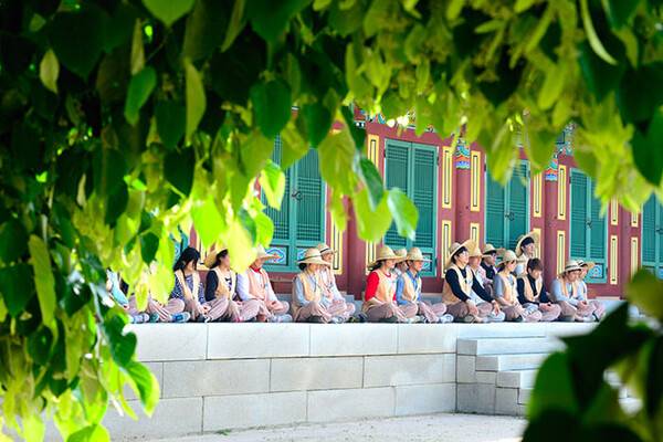 묘적사 템플스테이 / 온라인 커뮤니티