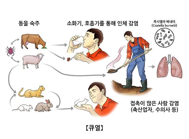 [서울아산병원 제공]