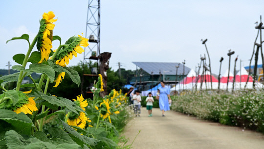 오는 24일 논산시 채운면 야화1리 돌고개 솟대마을 일원에서 해바라기 축제가 열린다. 사진=논산시 제공