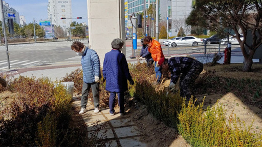 인천 중구 운서동 주변에서 골든튤립호텔 분양자들이 환경미화 봉사활동을 하고 있다. 골든튤립호텔 제공