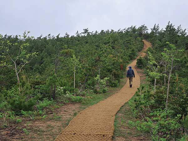 원산리에서 선학산 정상으로 오르는 야자매트 비단길.