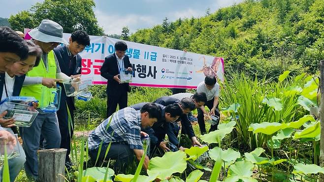 아산 멸종위기종 물장군 70개체 방사 행사 22일 오전 충남 아산시 송악면 동화리 습지에 금강유역환경청과 아산시, 삼성디스플레이, 홀로세생태보존연구소, 지역 주민 등 100여 명이 참석한 가운데 물장군 방사 행사가 열리고 있다. [금강유역환경청 제공. 재판매 및 DB 금지]