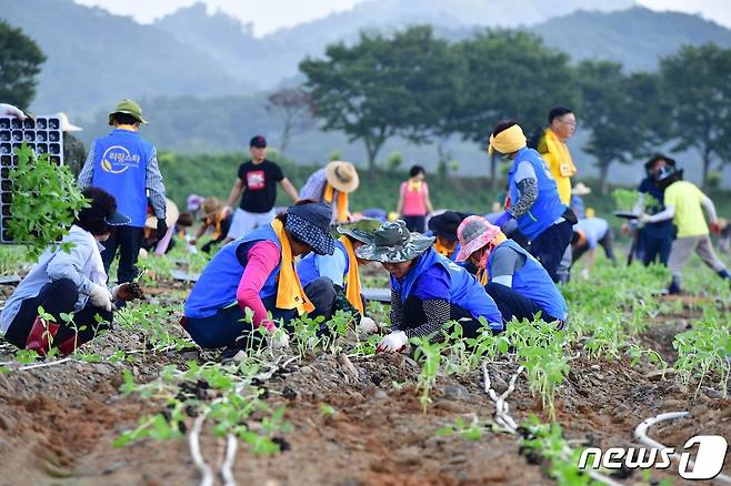 전남 장성군이 진행하고 있는 귀농‧귀촌인 정착지원사업 모습. ⓒ News1DB