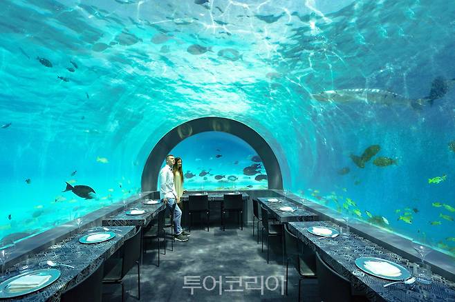 유앤미 몰디브 언더워터 미슐랭 레스토랑