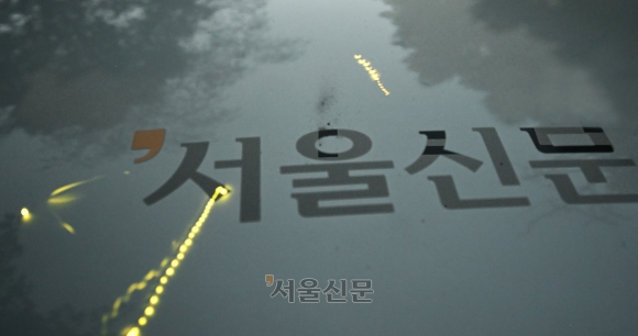 서울신문 취재차량 위에 반딧불이가 내려앉아 있다.