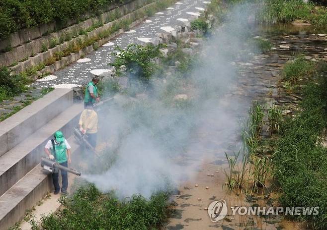 작년 7월 러브버그 대거 발생해 대비해 성북구에서 이뤄진 방충작업.[사진=연합뉴스]