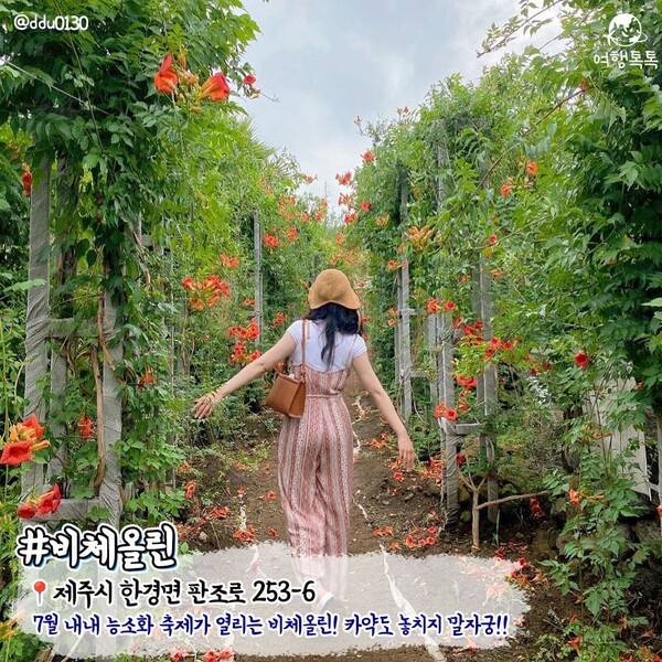 7월 제주 가볼만한 곳 / ⓒ여행톡톡 / 사진&nbsp;@ddu0130