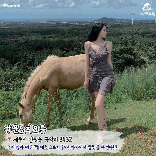 7월 제주 가볼만한 곳 / ⓒ여행톡톡 / 사진&nbsp;@haminiii&nbsp;