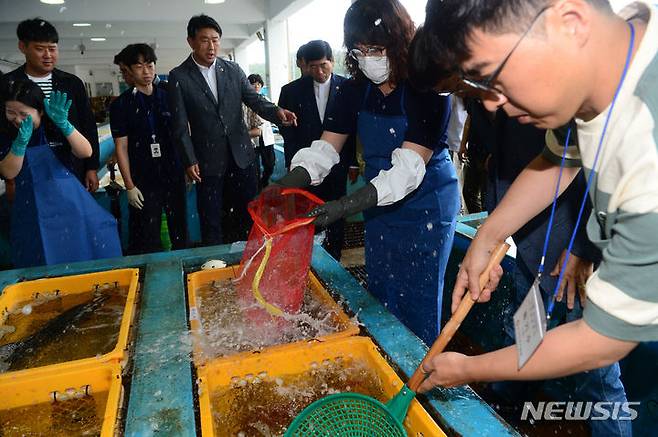 [통영=뉴시스] 차용현 기자 = 27일 오전 경남 통영시 통영수협삼덕위판장에서 경상남도 수산안전기술원 관계자와 도민 참관인들이 방사능 검사에 사용될 물고기를 수거하고 있다. 2023.06.27. con@newsis.com