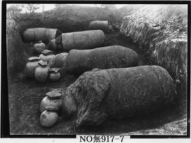 나주 신촌리 9호분 조사 현장 모습  당시 출토된 독널(옹관) 모습. 사진은 국립중앙박물관이 소장한 유리원판. [국립중앙박물관 제공. 재판매 및 DB 금지]