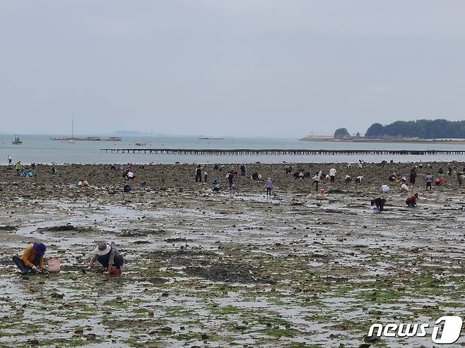 왜목마을 해수욕장 갯벌 전경.(당진시 제공)/뉴스1