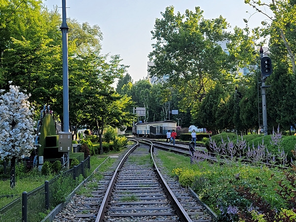 기다림 끝에서 다시 만나 교차되는 철로. 삶도 이럴까.