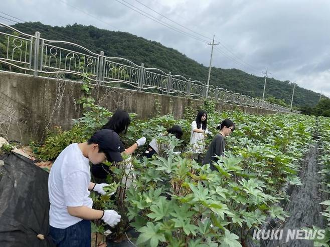 충남도립대 총학생회와 대의원회 임원 등이 26일 인력난에 허덕이는 청양의 한 농가를 찾아 수확을 거들고 있다. 사진=충남도립대 제공