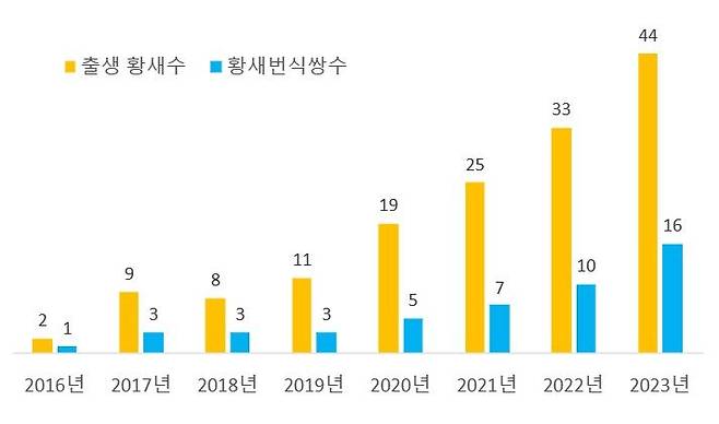 [서울=뉴시스] 2016~2023년 황새 번식쌍수 및 출생 황새수 증가 그래프 (사진=문화재청 제공) 2023.06.28. photo@newsis.com *재판매 및 DB 금지