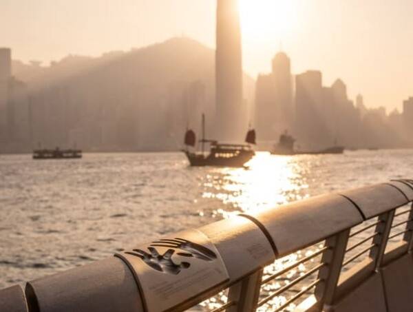 온라인 커뮤니티