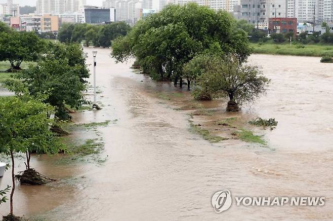 범람한 광주천 (광주=연합뉴스) 정다움 기자 = 호우 특보가 발효된 28일 광주 북구 임동 광천2교 인근 광주천이 범람해 있다. 2023.6.28 daum@yna.co.kr