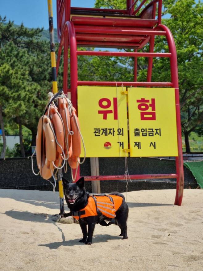 경남 거제 명사해수욕장에 구명튜브가 마련돼 있다. [사진제공=경남도청]