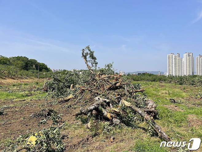 30일 충북도는 전날 충주 동량면의 과원서 과수화상병이 1건 추가 발생했다고 밝혔다. 사진은 공적 방제 모습.(자료사진)2023.6.30/뉴스1