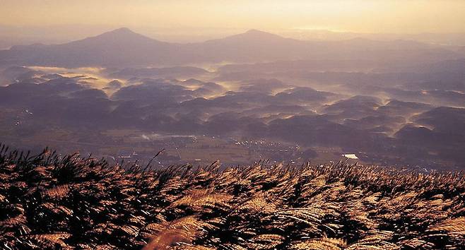 케이블카서 내리면 이 광경이… - 울산 울주군의 신불산과 영축산, 경남 밀양시의 능동산 등으로 이어지는 영남알프스 하늘억새길은 길이만 29.7㎞에 이르는 억새밭이다. 사진은 신불산 해발 800m 지대에 있는 하늘억새길 억새밭 전경. 울주군은 오는 2025년까지 영남알프스 케이블카를 설치할 계획이다. /한국관광공사