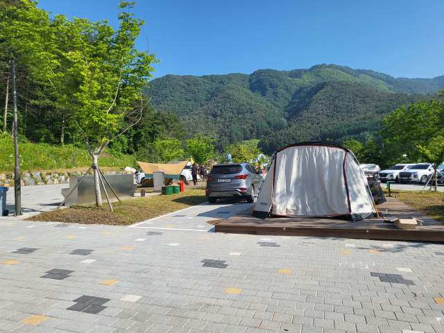 ▲ 평창군내에 캠핑장이 새롭게 개장하고 기존의 캠핑장에도 캠핑객들의 발길이 이어져 열기가 뜨겁다. 사진은 평창 국민여가캠핑장.