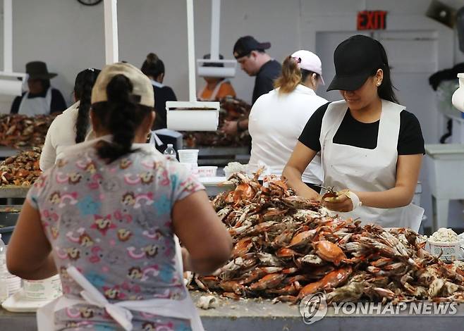 미국 해산물 업체의 여성 노동자들 [AFP 연합뉴스]