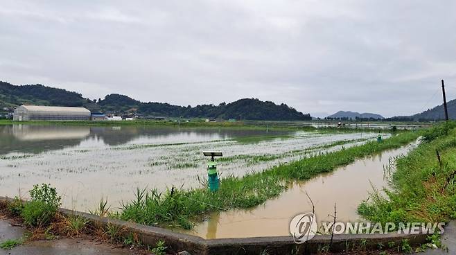 물에 잠긴 여수 농경지 (여수=연합뉴스) 호우특보가 발효돼 광주·전남 전역에 비가 내린 28일 오전 전남 여수시 한 농경지가 침수돼 있다. 2023.6.28 [전남도 제공. 재판매 및 DB 금지] daum@yna.co.kr